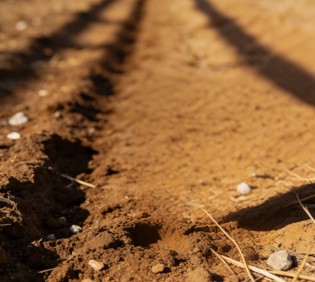 一体式土壤硬度计：快速检测土壤紧实度的便携利器